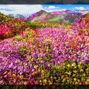 Collina fiorita - Arte Digitale - 90x70cm